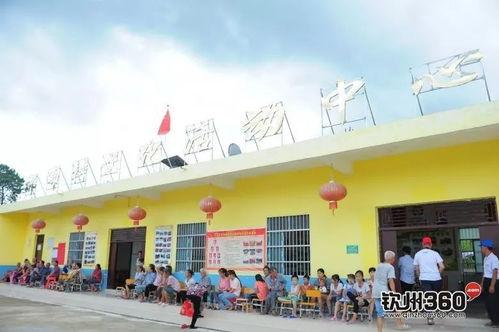 钦州今日头条新农村,绿色发展引领乡村振兴新篇章”