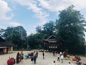 夏季重庆网红打卡地点,探寻山城夏日风情新地标
