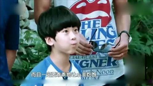 娱乐八卦每日爆料周深,娱乐八卦中的音乐奇才，揭秘他的星途历程