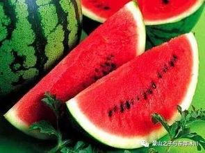 爱瓜老师,引领未来教育的璀璨星辉