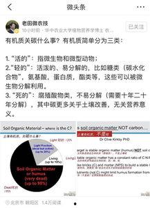 武教授的微头条,科技前沿动态与未来趋势深度解析