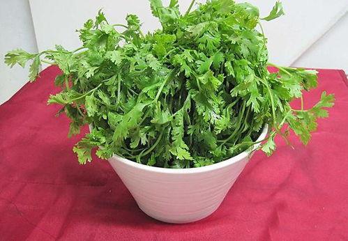 网红为何不能吃香菜,揭秘网红为何不能触碰的美食之谜