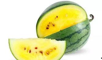 带你吃瓜懒人食品,带你轻松尝遍带你吃瓜懒人食品系列