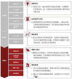 今日头条如何投资股票的,股票投资攻略全解析