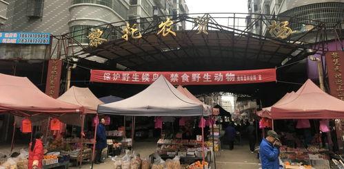 衡南黎托市场最新爆料,揭秘神秘项目背后的真相