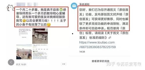 头条怎么发原创文字,轻松打造独特内容