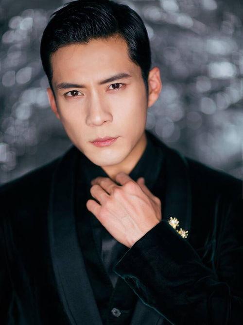 电视男明星,揭秘电视男明星的魅力人生