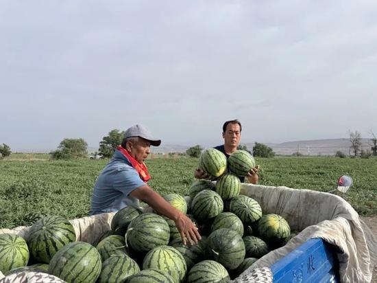 江西丰城吃瓜,揭秘背后真相与反思