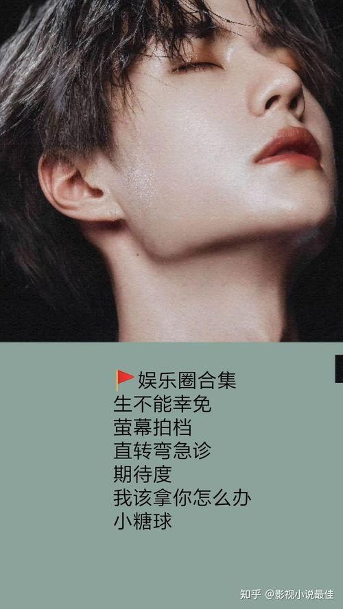 娱乐圈小说推文公开爆料,揭秘明星背后的秘密与真相