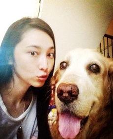 明星与爱犬,明星与宠物的不解之缘