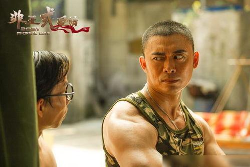 武打明星金刚,武坛传奇，力拔山兮气盖世