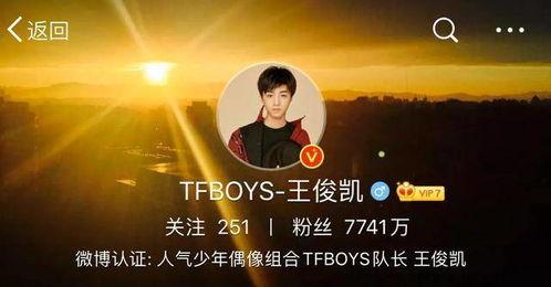 明星粉丝努力,明星背后的不懈追随者