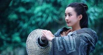 明星之潜规之皇张馨予,从争议到辉煌，揭秘明星之路的潜规则与逆袭