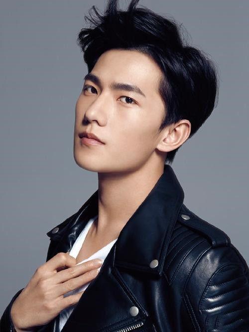 范什么男明星,星光璀璨的影视界新贵