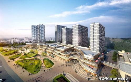 佛山龙湖新闻头条直播,揭秘龙湖新区发展新动态与未来规划