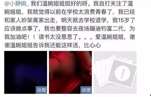 遭封杀网红,遭封杀网红的崛起与陨落