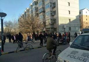 包头避雨明星有哪些,星光璀璨的避风港