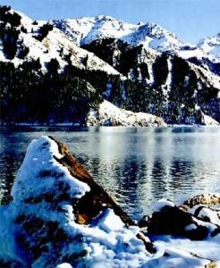 食肉明星天池龙