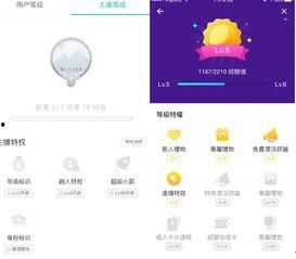 直播平台如何培养网红