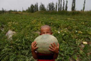 带你吃瓜东北玩泥巴,带你吃瓜玩泥巴，体验地道民俗之旅