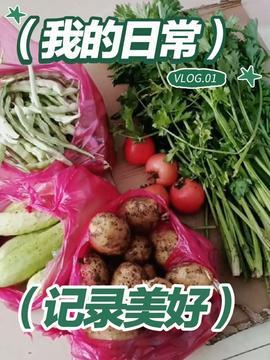 今日头条蔬菜馆在哪,一站式购物新体验”