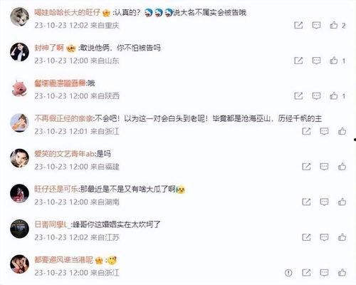 汪峰章子怡狗仔爆料视频,明星隐私与狗仔追踪的较量