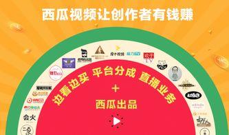 头条西瓜视频哪个平台好,揭秘哪个平台更适合内容创作与传播