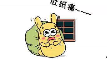 吃瓜群众的单品