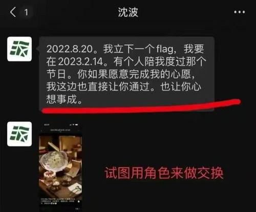 沈波导演的爆料视频是真的吗,事实还是虚构？