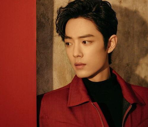 哪个女明星追过肖战,揭秘哪位女明星曾追逐肖战