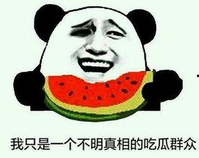 吃瓜群众百科百度,揭秘网络热议背后的真相与趣味