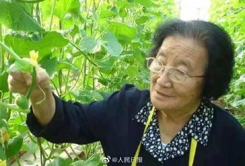 娱乐吃瓜酱广东人辣度,辣度惊人，吃瓜成风